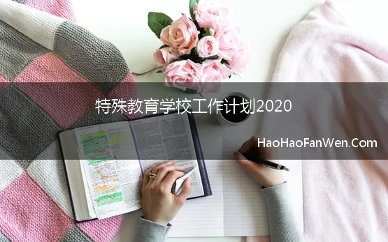 特殊教育学校工作总结和计划