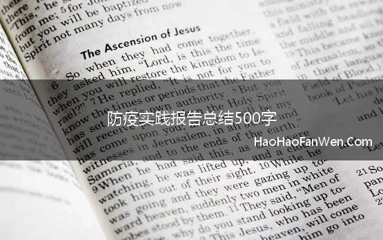 防疫实践报告总结500字