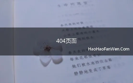 404页面