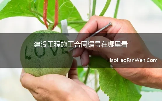 建设工程施工合同编号在哪里看