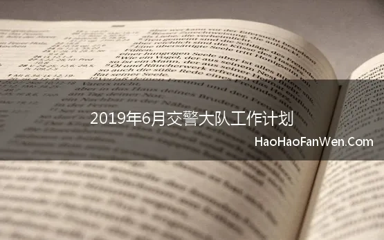 2019年6月交警大队工作计划