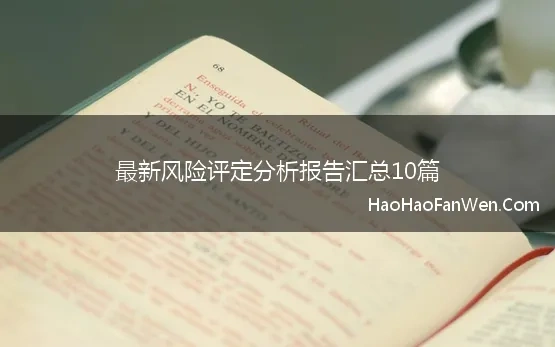 最新风险评定分析报告汇总10篇