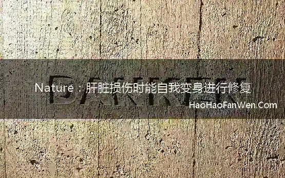 Nature：肝脏损伤时能自我变身进行修复