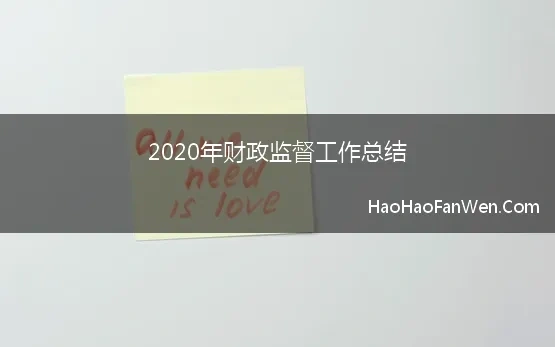 2020年财政监督工作总结