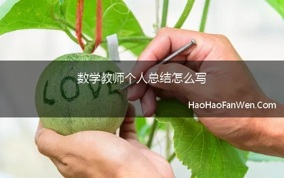 数学教师个人总结怎么写