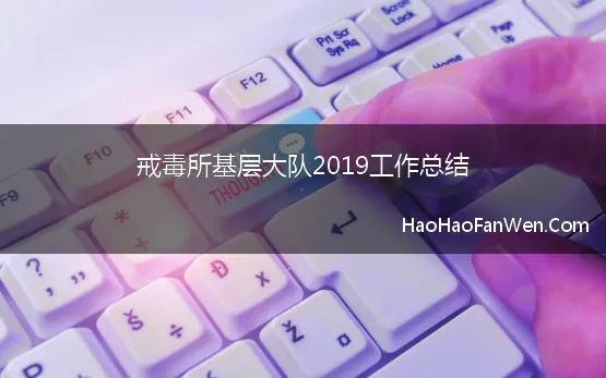 戒毒所基层大队2019工作总结(在戒毒所工作怎么样)