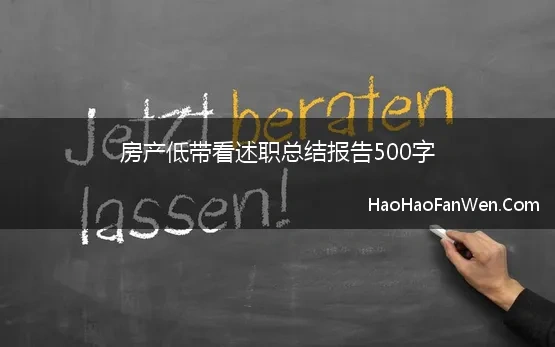 房产低带看述职总结报告500字