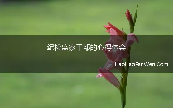 纪检监察干部的心得体会