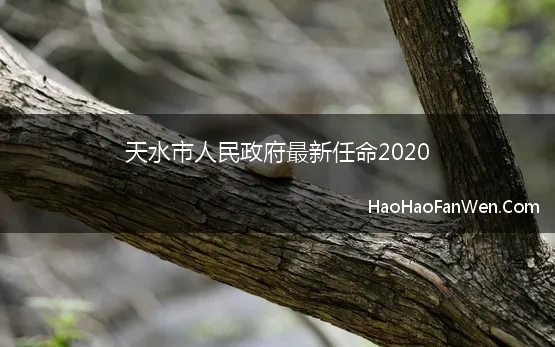 天水市人民政府最新任命2020