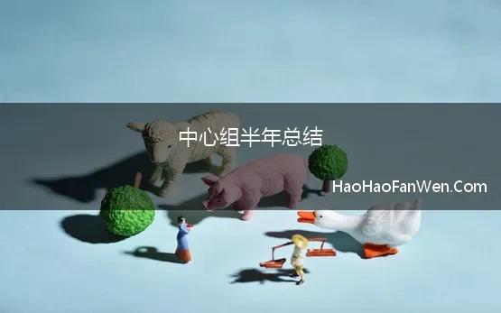 中心组半年总结