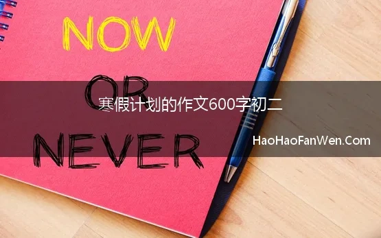 我的寒假计划初二作文800字