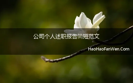 公司个人述职报告简短范文