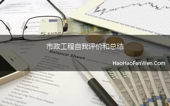 市政工程自我评价和总结