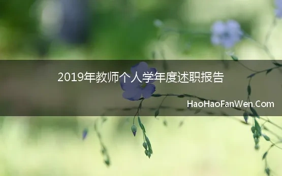 教师本年度述职报告2016