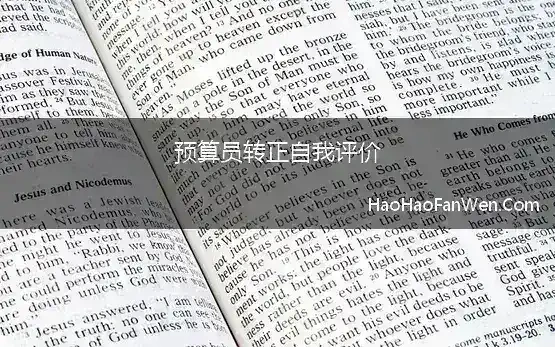 预算员转正自我评价 2021年试用期预算员转正申请书