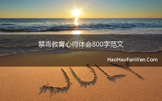 禁毒宣传心得体会800字