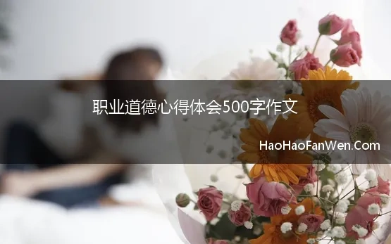 职业道德心得体会500字作文