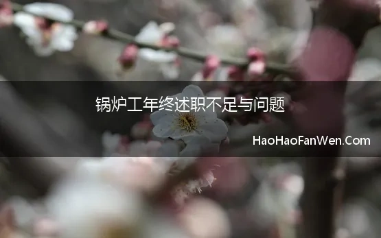 锅炉工年终述职不足与问题(最新锅炉工年度个人总结)