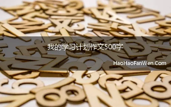 一个学期的计划作文500字