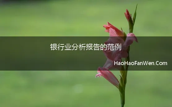 银行业分析报告的范例