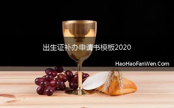 出生证补办申请书模板2020