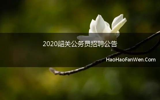 2020韶关公务员招聘公告