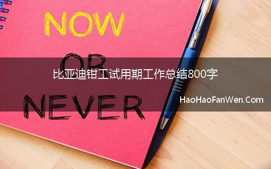 比亚迪钳工试用期工作总结800字(比亚迪试用期工作总结