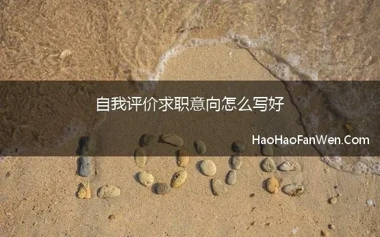 自我评价求职意向怎么写好