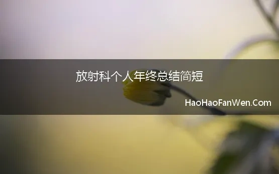 放射科个人年终总结简短