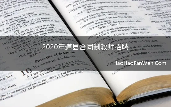 2020年道县合同制教师招聘