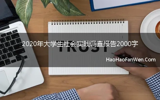 社会调查报告2000字8篇