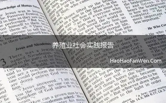 养殖业社会实践报告