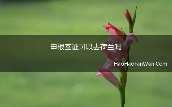 申根签证可以去荷兰吗