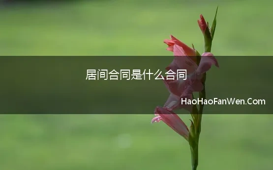 居间合同是什么合同