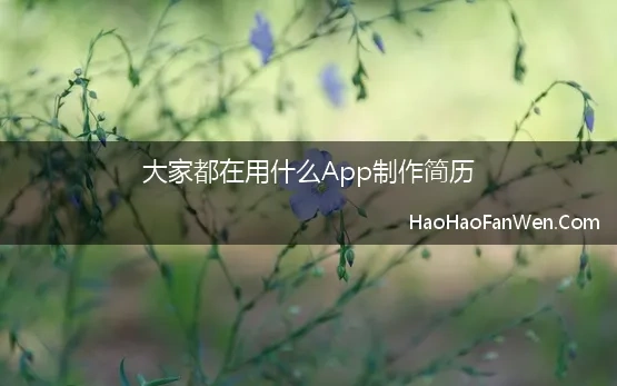 大家都在用什么App制作简历