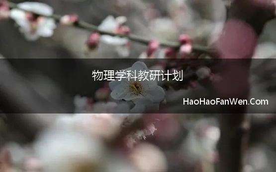 物理学科教研计划 高中物理教研组工作计划