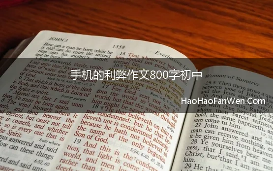 手机的弊议论文800字