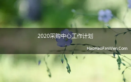 2020采购中心工作计划