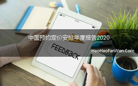 中国预约定价安排年度报告2020