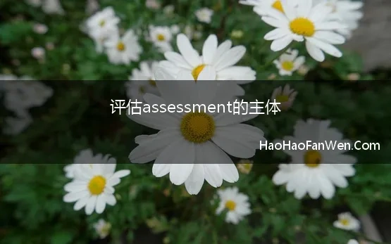 评估assessment的主体