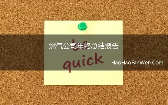 燃气公司年终总结报告 燃气公司个人年终总结