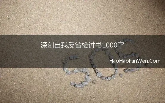 检讨书偷懒自我反省3000字