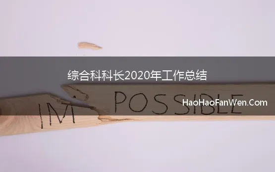 综合科科长2020年工作总结