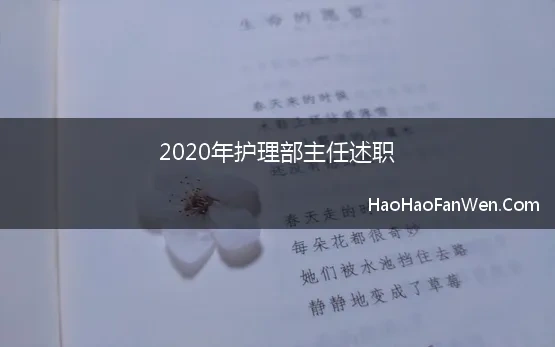 2020年护理部主任述职