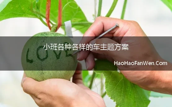 小班各种各样的车主题方案