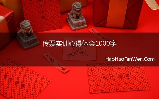 传票实训心得体会1000字