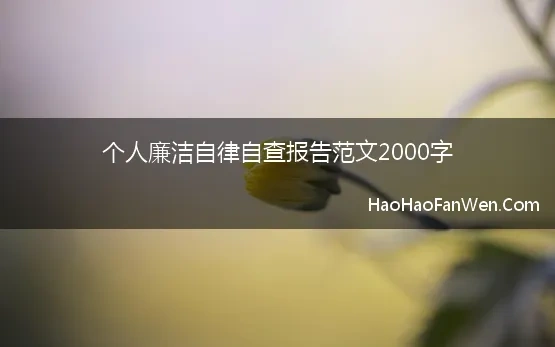 个人廉洁自律自查报告范文2000字