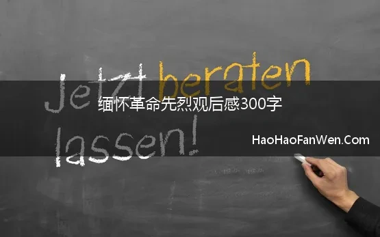 缅怀革命先烈观后感300字(缅怀革命先烈，传承红色基因)