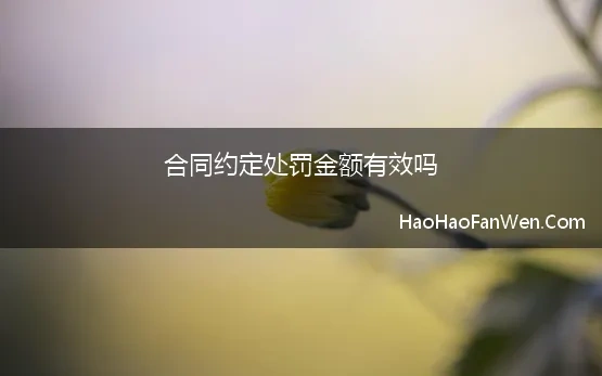 合同约定处罚金额有效吗