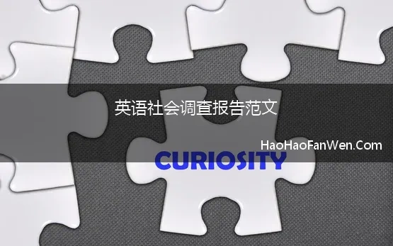 英语社会调查报告范文